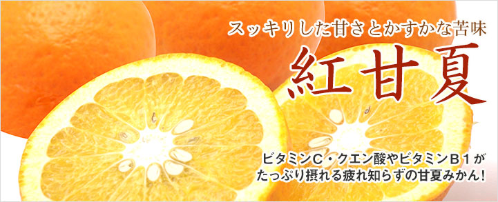 スッキリとした甘さとかすかな苦み 紅甘夏