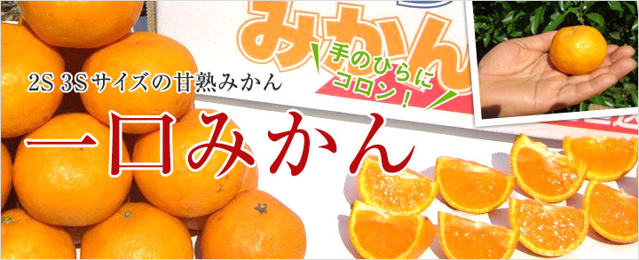 酸切れがよく、みかんの甘味を引き出した甘熟みかん！