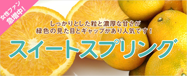 しっかりとした粒と濃厚な甘さが見た目とギャップ スイーツスプリング
