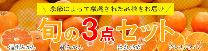 温州みかん・はれひめ・クレメンティンの旬の3点セット