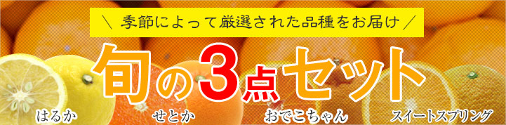 季節によって源泉された品種をお届け　旬の3点セット　はるか　せとか　おでこちゃん　スイートスプリング