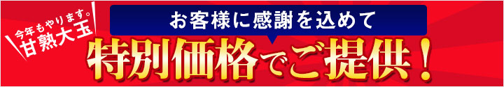 特別特価