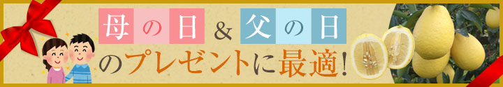 母の日&父の日ギフト!