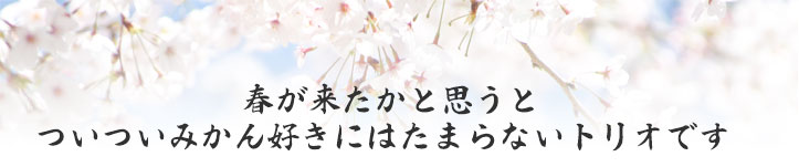 春が来るとついついみかん好きにはたまらないトリプルです