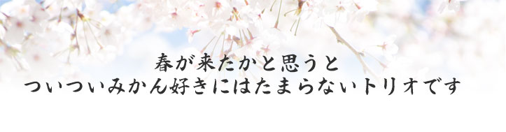 母の日&父の日のプレゼントに最適!!