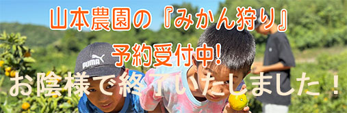 山本農園 / せとかジュース佐賀県,太良,クレメンティン,温州 山本農園 / せとかジュース佐賀県,太良,クレメンティン,温州