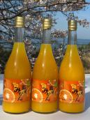 そのまんま温州みかんジュース