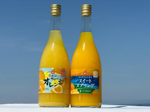 ニューサマーオレンジ/スイートスプリングジュース詰め合わせセット　　2023