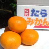 甘熟大玉(晩柑1月以降の収穫訳あり大玉)