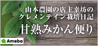 山本農園の店主幸坊のクレメンティン栽培日記　甘熟みかん便り