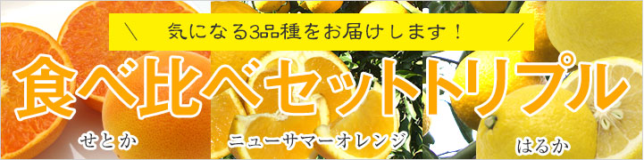 気になる3品種をお届けします!食べ比べセットトリプル せとか　ニューサマーオレンジ　はるか