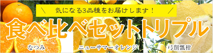 気になる3品種をお届けします!食べ比べセットトリプル なつみ ニューサマーオレンジ 弓削瓢柑