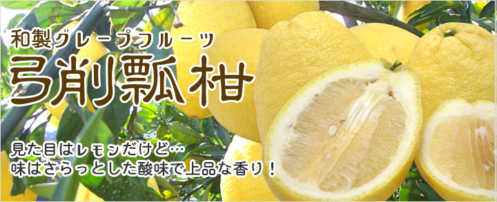 和製グレープフルーツ弓削瓢柑　見た目はレモンだけど・・・味はさらっとした酸味で上品な香り