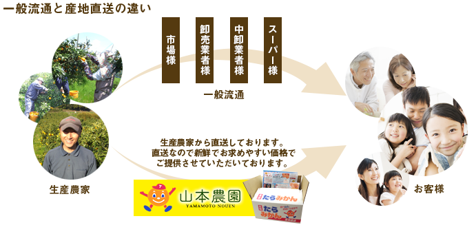 一般流通と産地職層の違い 一般流通:市場様→卸売業者様→中卸業者様→スーパー様 産地直送:生産農家から直送しております。直送なので新鮮でお求め安い価格でご提供させていただいております。