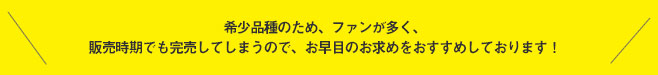 希少品種のため、ファンが多く、販売時期でも完売してしまうので、お早目のお求めをおすすめしております!